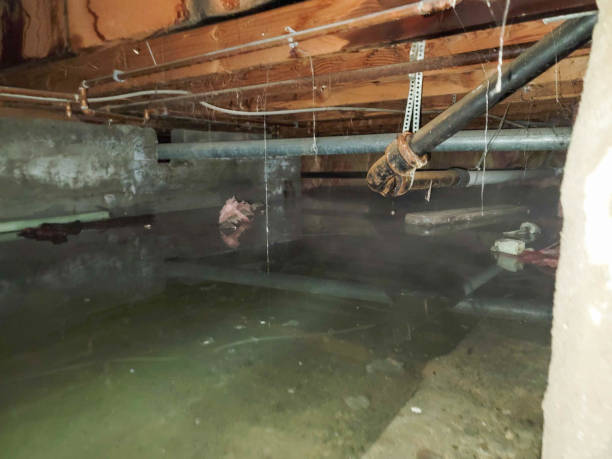 Best Water damage restoration insurance claims  in Pistakee Highlands, IL