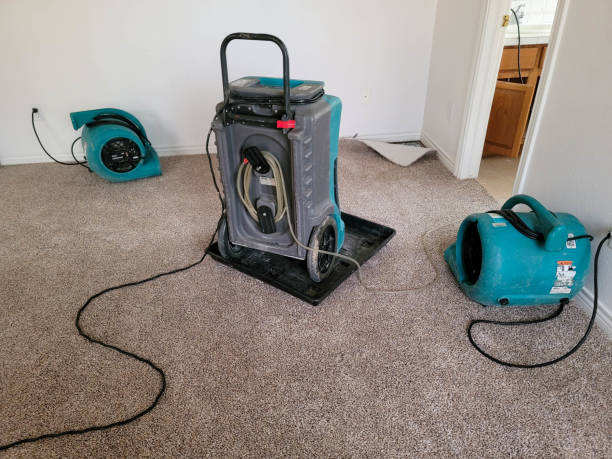 Best Water damage restoration near me  in Pistakee Highlands, IL