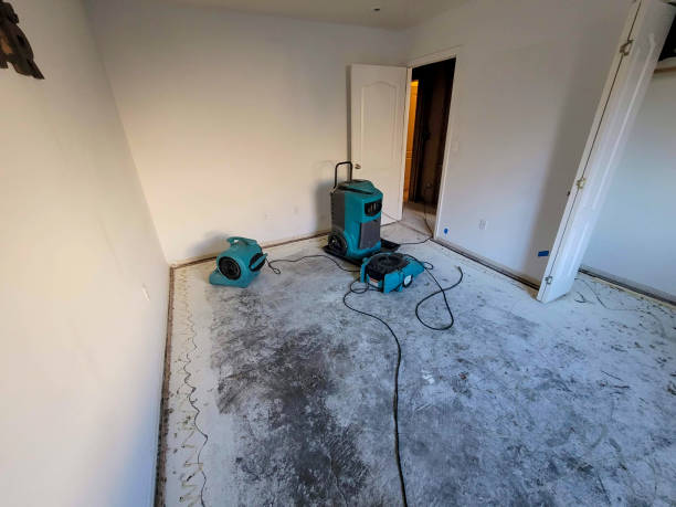 Best Carpet water damage restoration  in Pistakee Highlands, IL