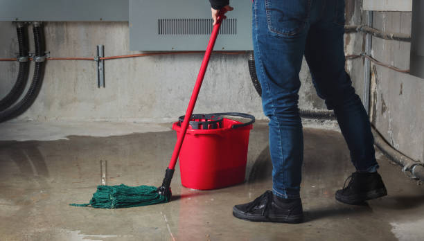 Best Water damage restoration near me  in Pistakee Highlands, IL