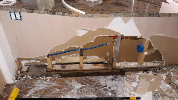 Best Basement water damage restoration  in Pistakee Highlands, IL
