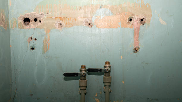 Best Flood damage cleanup  in Pistakee Highlands, IL