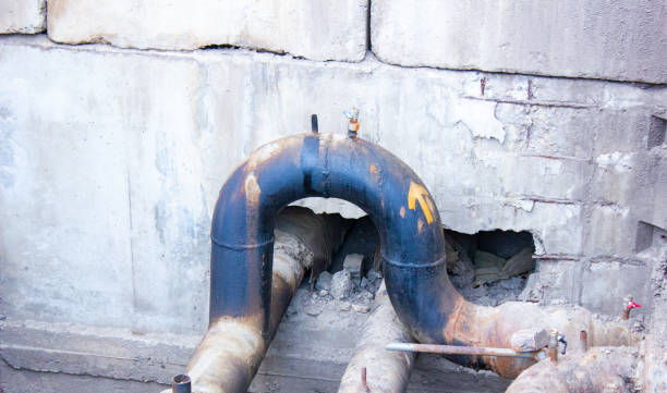 Best Mold removal after water damage  in Pistakee Highlands, IL