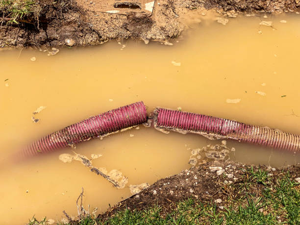 Best Water damage restoration cost  in Pistakee Highlands, IL