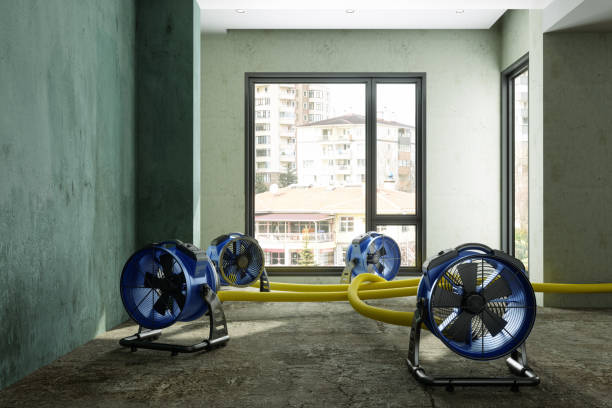 Best Flood restoration services  in Pistakee Highlands, IL